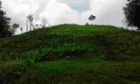 IMG 20160525 110816